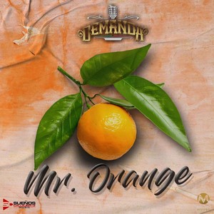 Mr. Orange