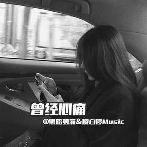 别怕我伤心 (DJ黑暗萝莉、DJ傻白婷版)