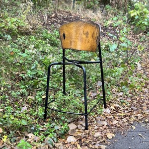 A Horse Named Friday