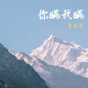 你瞒我瞒 (治愈版)