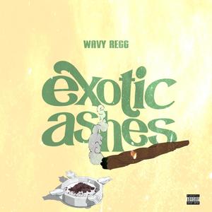 Exotic Ashes (Explicit)