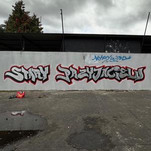 Stary Przyjacielu (feat. Dudek P56, Peja Slums Attack, Ośwa & Gonie sny z ulicy) (Explicit)