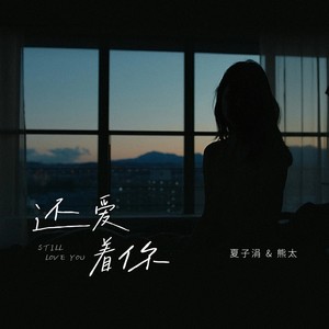 还爱着你
