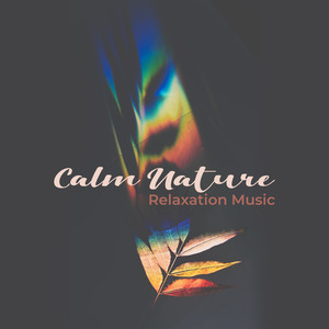 Calm Nature Relaxation Music