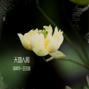 天下大同封面