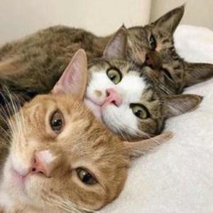 down a notch (Explicit)