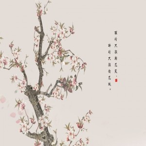 不染 (温暖男声版)