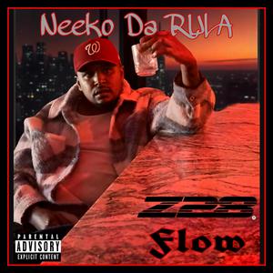 Z/28 Flow (Explicit)