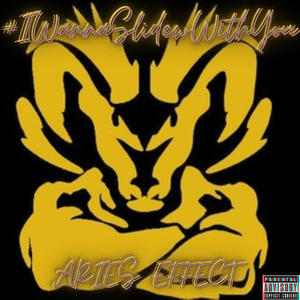 #IWannaSlideWithYou (Explicit)