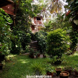 适合办公事务安静的音乐