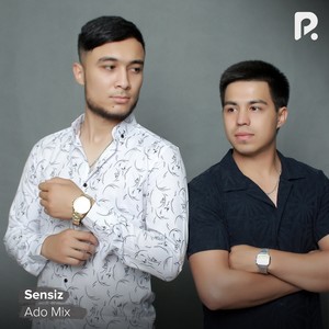 Sensiz