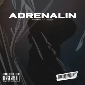 Adrenalin (feat. Lil Shakx) [Explicit]