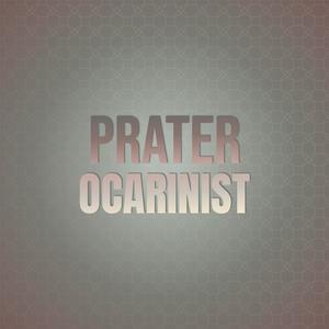 Prater Ocarinist