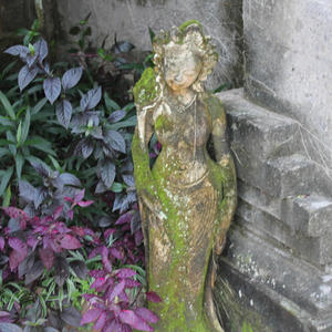 Swimming in the rain