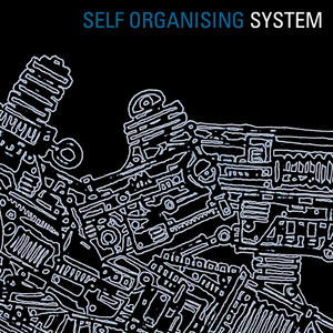 Self Organising System