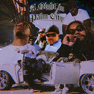 A Night in Palm City (Explicit)