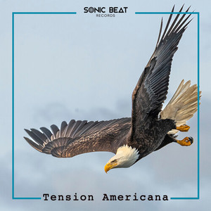 Rotem Moav - Desert Road