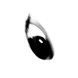 乱