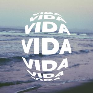 Vida(feat. Hardins)