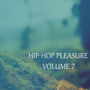 Hip-Hop Pleasure, Vol. 7