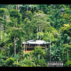 Mountain (feat. FR3D0) (Explicit)