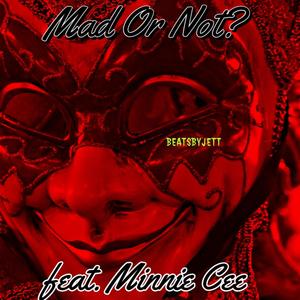 Mad or Not? (feat. Minnie Cee) [Explicit]