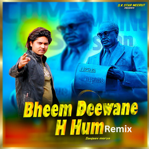 Bheem Dewane H Hum Remix