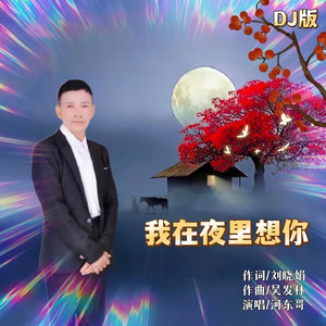 我在夜里想你 (DJ版伴奏)