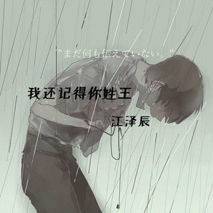我还记得你姓王