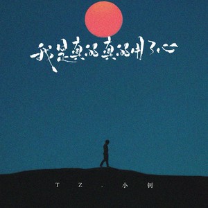 我是真的真的用了心