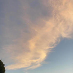 2 much (feat. F1ordiadrip & Kenxst) (Explicit)