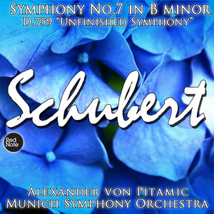 I. Allegro moderato (第一乐章,中庸的快板)