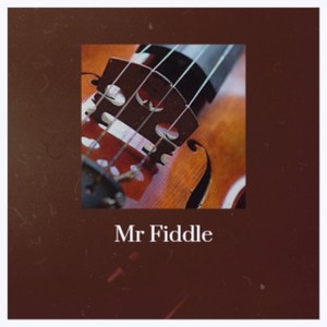 Mr Fiddle