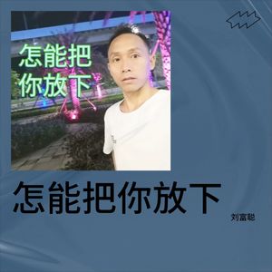 怎能把你放下