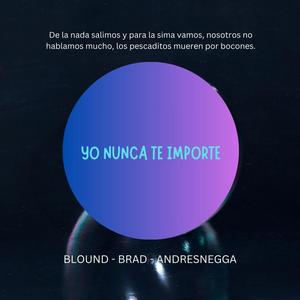 Yo Nunca Te Importe (feat. Bradsito & AndresNegga) (Explicit)