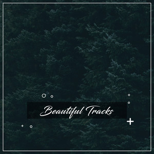 Enchanting Rain Song