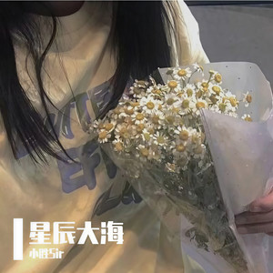 本章舞曲BGM (Remix)