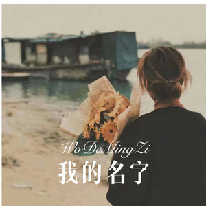 DJDJ我想要飞