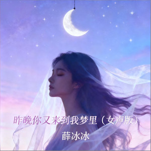 昨晚你又来到我梦里 (女声版)