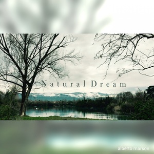 Natural Dreams