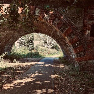 Politik - Cover (Live)