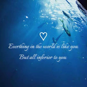 世间万物日月星辰都不及我遇见的你