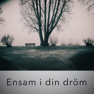 Ensam i din dröm