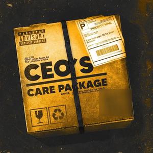 CEO's Care Package: CEO's Vault Sessions (Explicit)