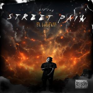 Street Pain (feat. Ladyfr33) (Explicit)