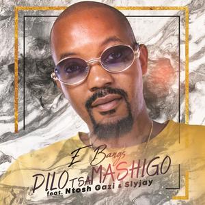 Dilo Tsa Mashigo (feat. Ntosh Gazi & Slyjay)