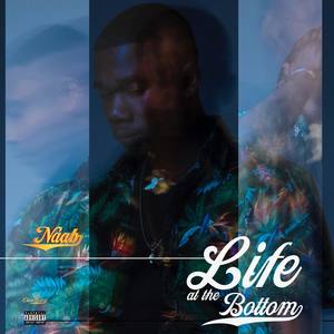 Are You That Somebody(feat. HVN) (Explicit)