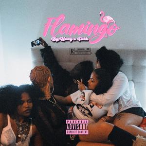 Flamingo (Explicit)