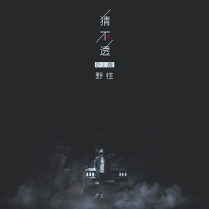 猜不透 (DJ野性版) - 野性封面