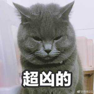 历劫成衣 (女声版)